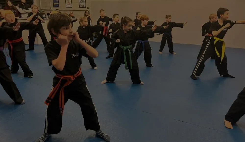 MARTIAL ARTS CLASSES IN LLANFAIRFECHAN
